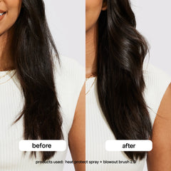 BLOWOUT BRUSH PAIR